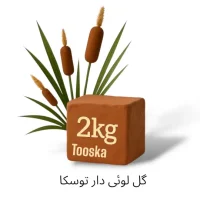گل سفالگری کار بادست 2کیلویی