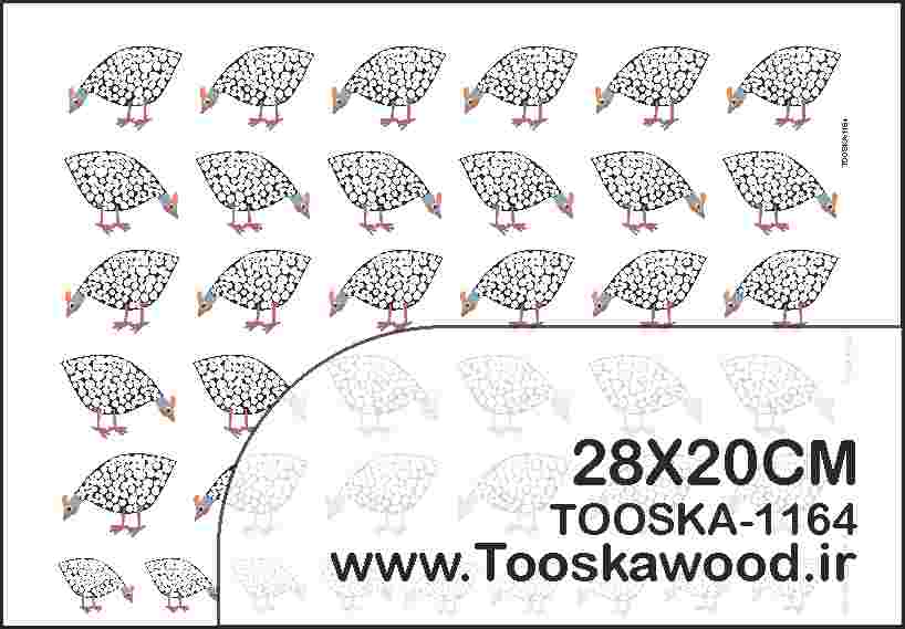 TOOSKA-1164 ترانسفر سرد