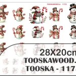 TOOSKAPRINT-1173 ترانسفر سرد